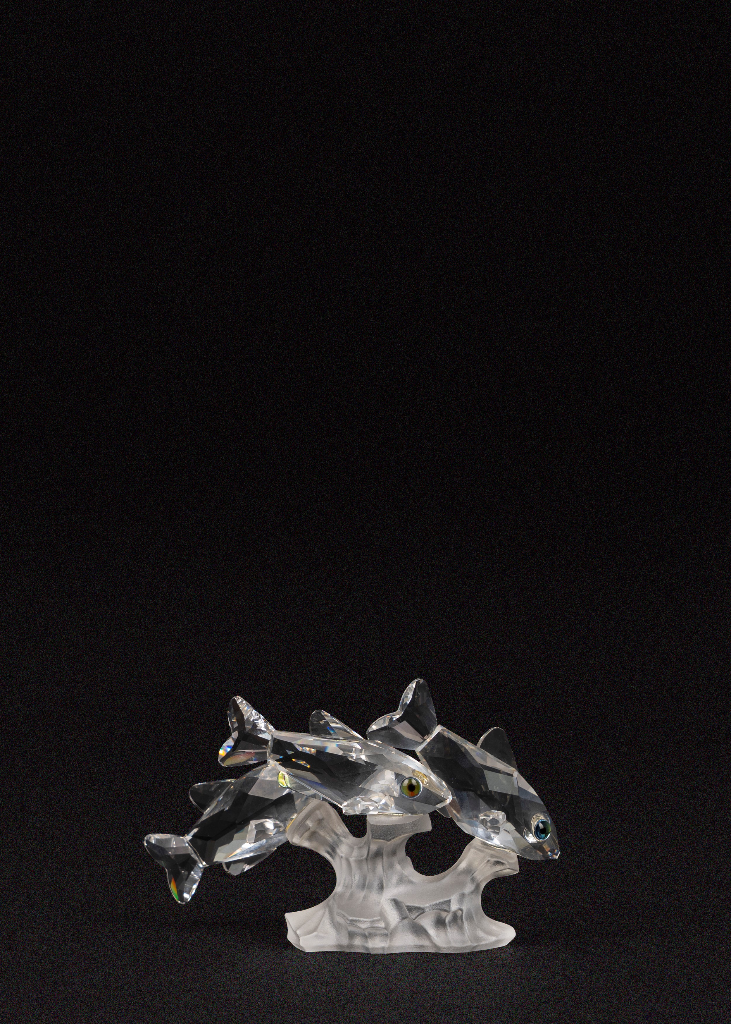 Swarovski - Tre pesci tropicali in cristallo della serie “South Sea”