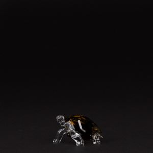 Tartaruga delle Galapagos