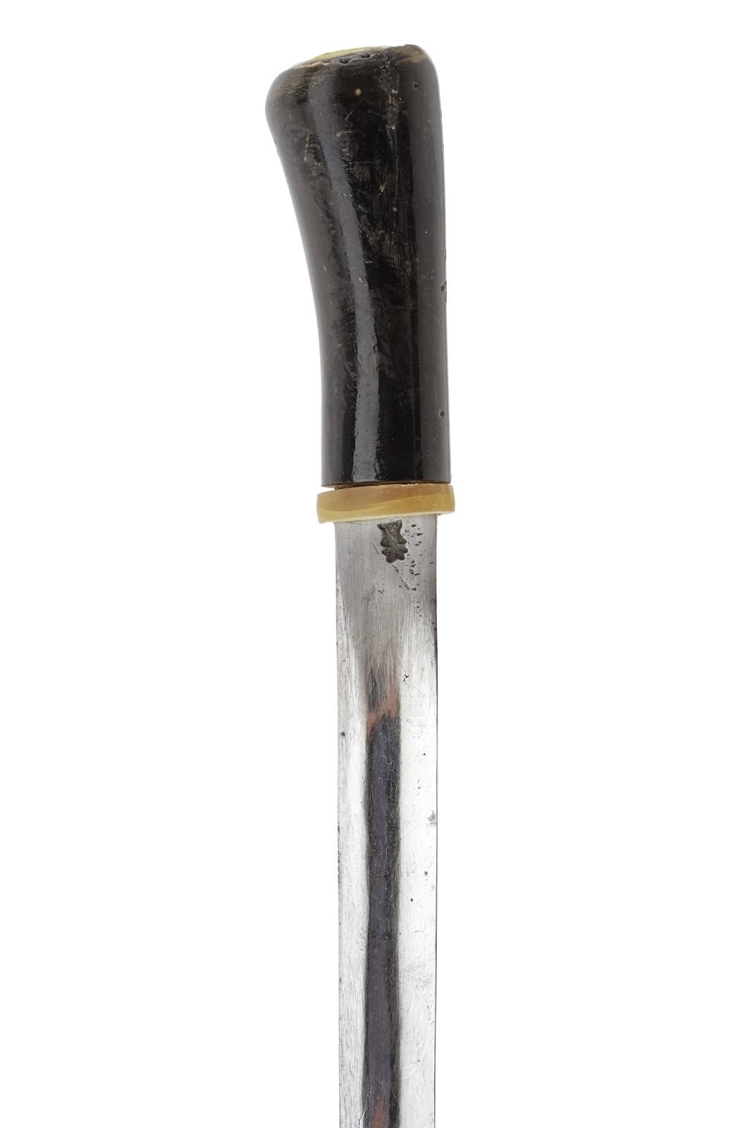 Bastone animato, arma bianca a lama dritta incisa (Europa, circa 1900)