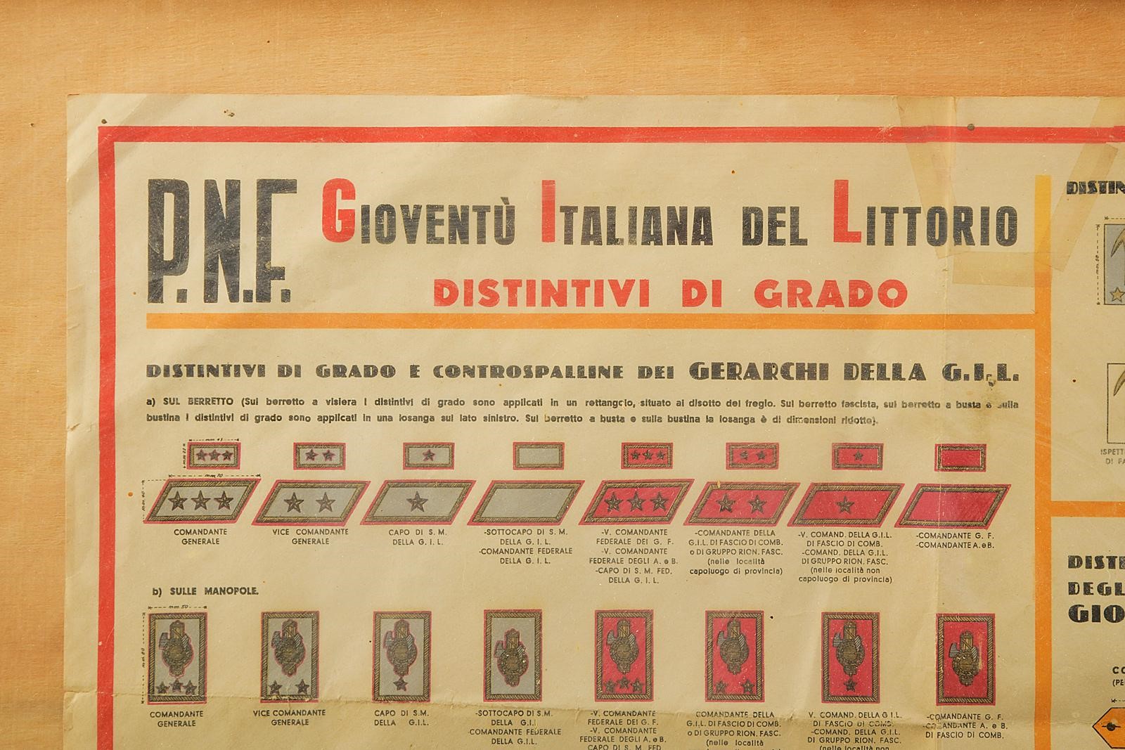 Gioventù Italiana del Littorio, Distintivi di grado — tabella illustrativa in policromia