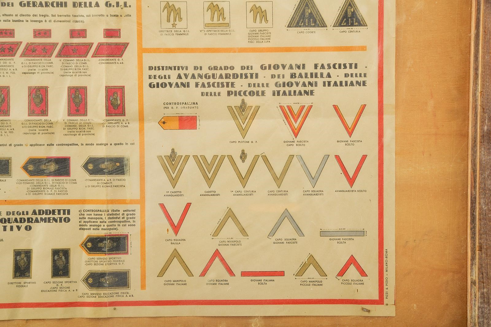 Gioventù Italiana del Littorio, Distintivi di grado — tabella illustrativa in policromia