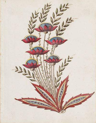 Piante Tropicali