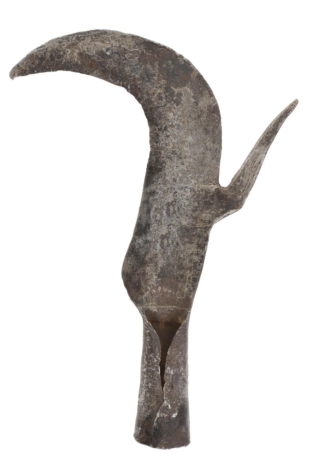 Testa di roncola, lama fortemente incurvata con ala e gorbia rettangolare (Italia)
