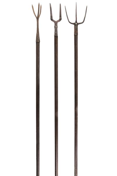 Lotto di tre forche agricole con teste in ferro, Europa (altezza 216–222 cm)