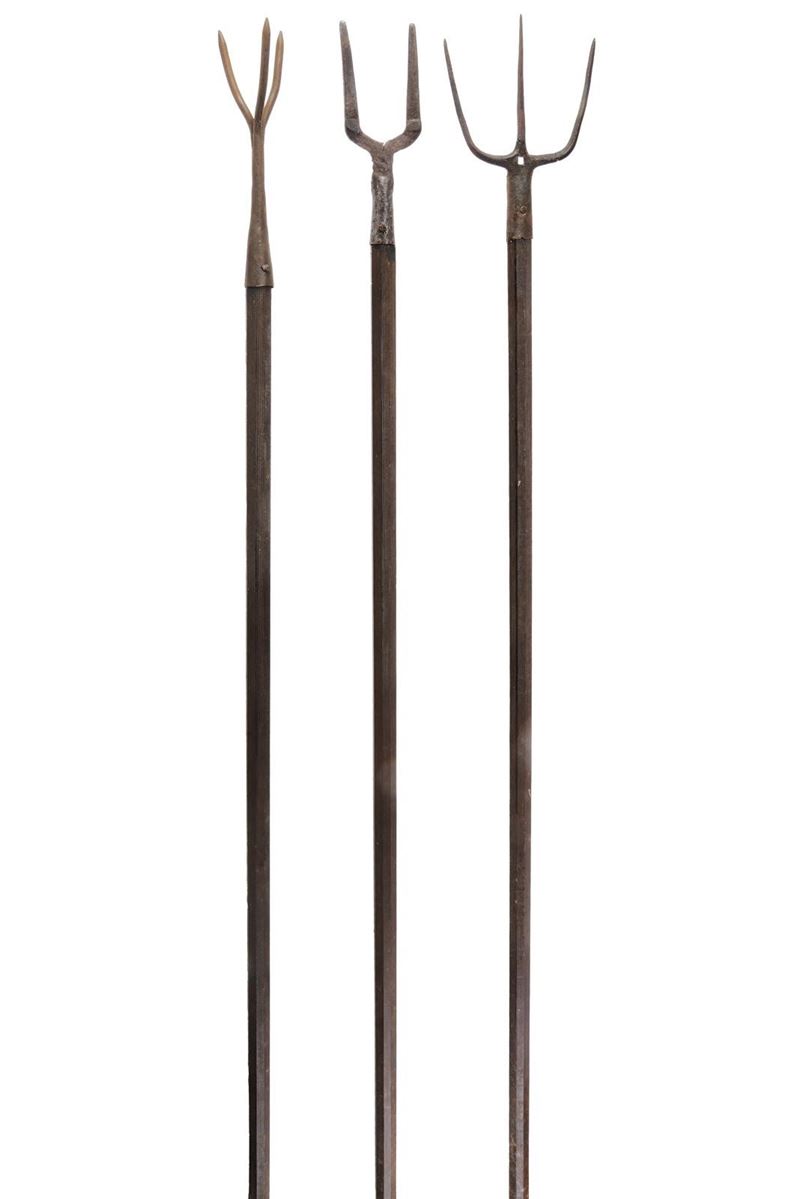 Lotto di tre forche agricole con teste in ferro, Europa (altezza 216–222 cm)
