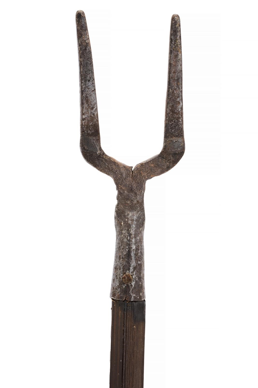 Lotto di tre forche agricole con teste in ferro, Europa (altezza 216–222 cm)