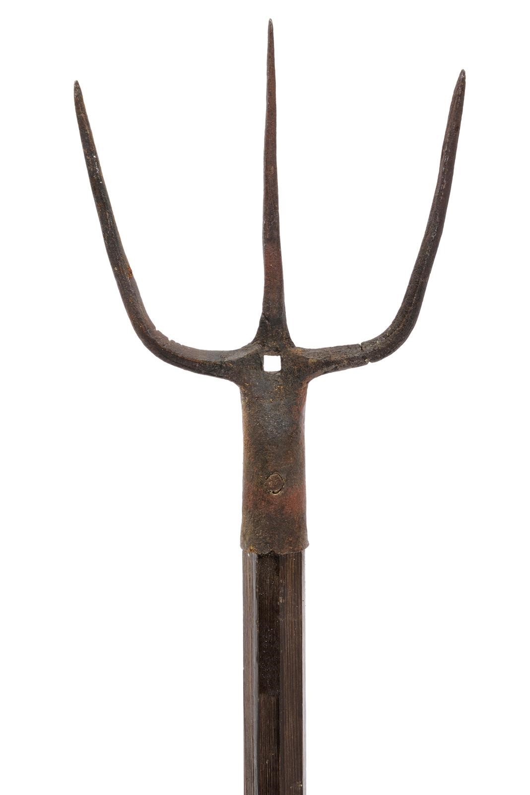 Lotto di tre forche agricole con teste in ferro, Europa (altezza 216–222 cm)