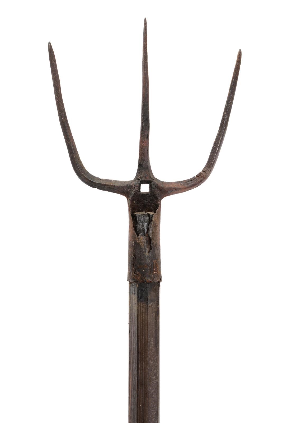 Lotto di tre forche agricole con teste in ferro, Europa (altezza 216–222 cm)
