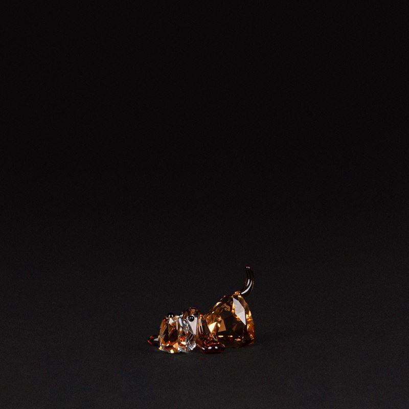 Bassotto “Peppino” in cristallo Swarovski, “The Gang of Dogs” (2008)