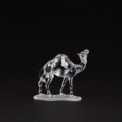 Cammello (African Wildlife) in cristallo