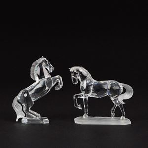 Stallone arabo e Stallone bianco