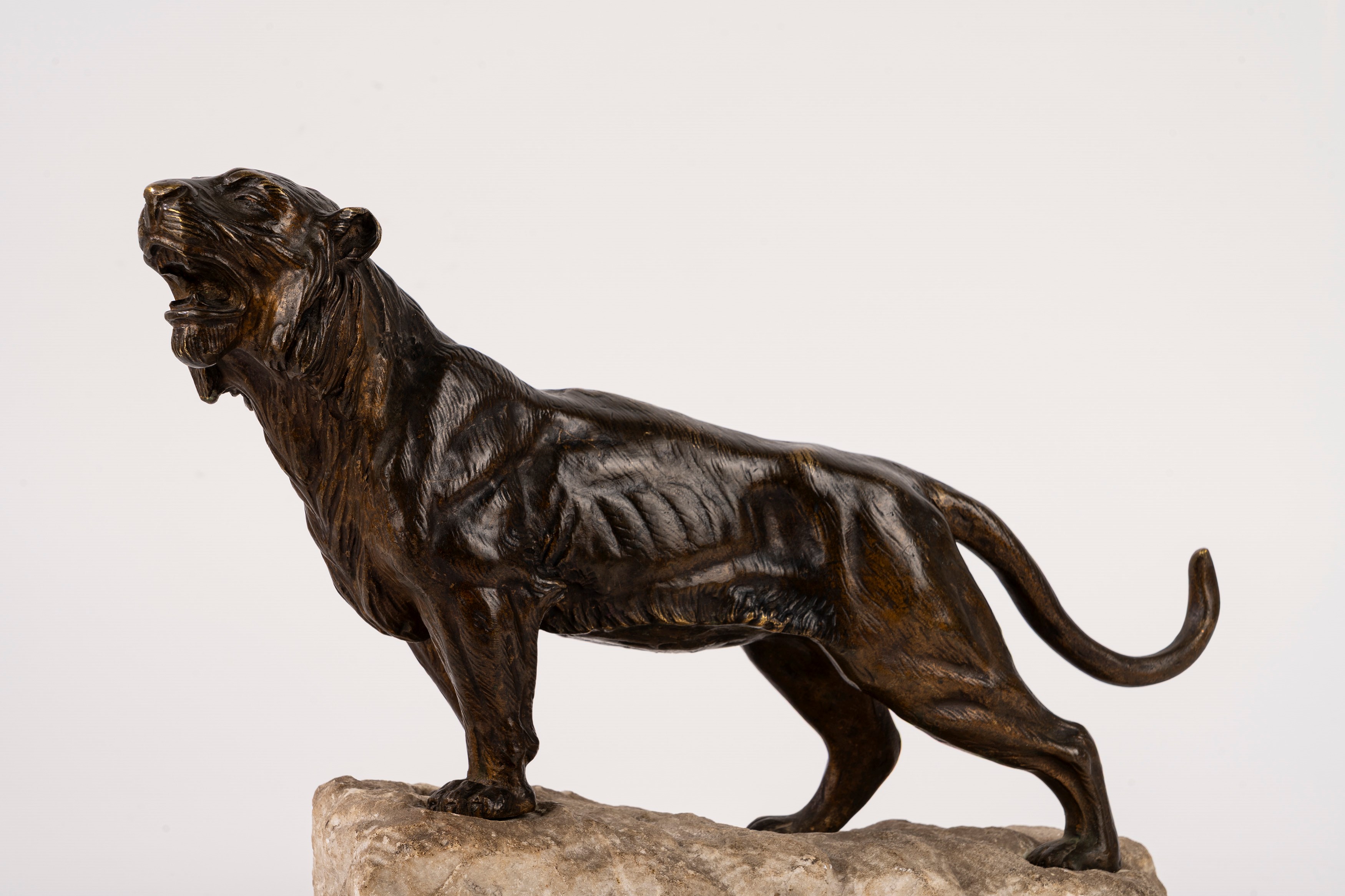 Scuola Francese, Inizi Secolo XX - Tigre, scultura in bronzo su base in pietra, firma “J. Hesteau...