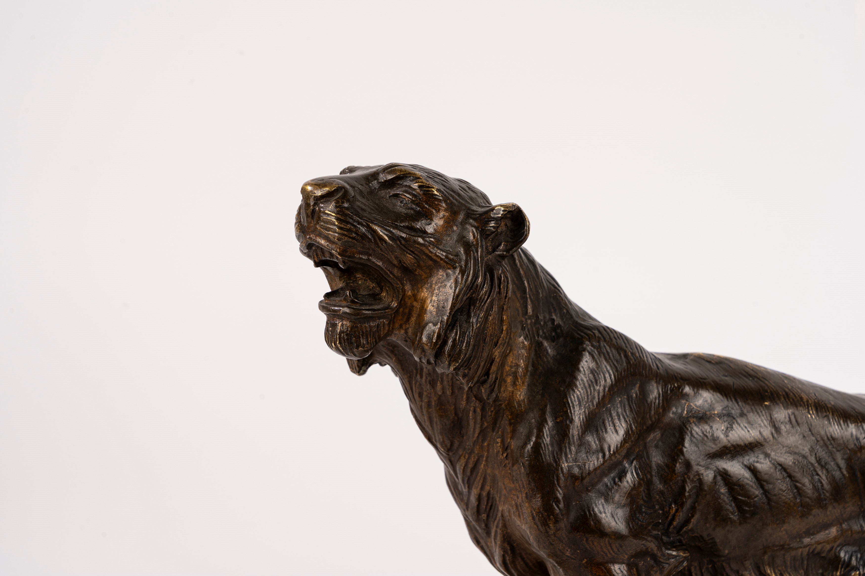 Scuola Francese, Inizi Secolo XX - Tigre, scultura in bronzo su base in pietra, firma “J. Hesteau...