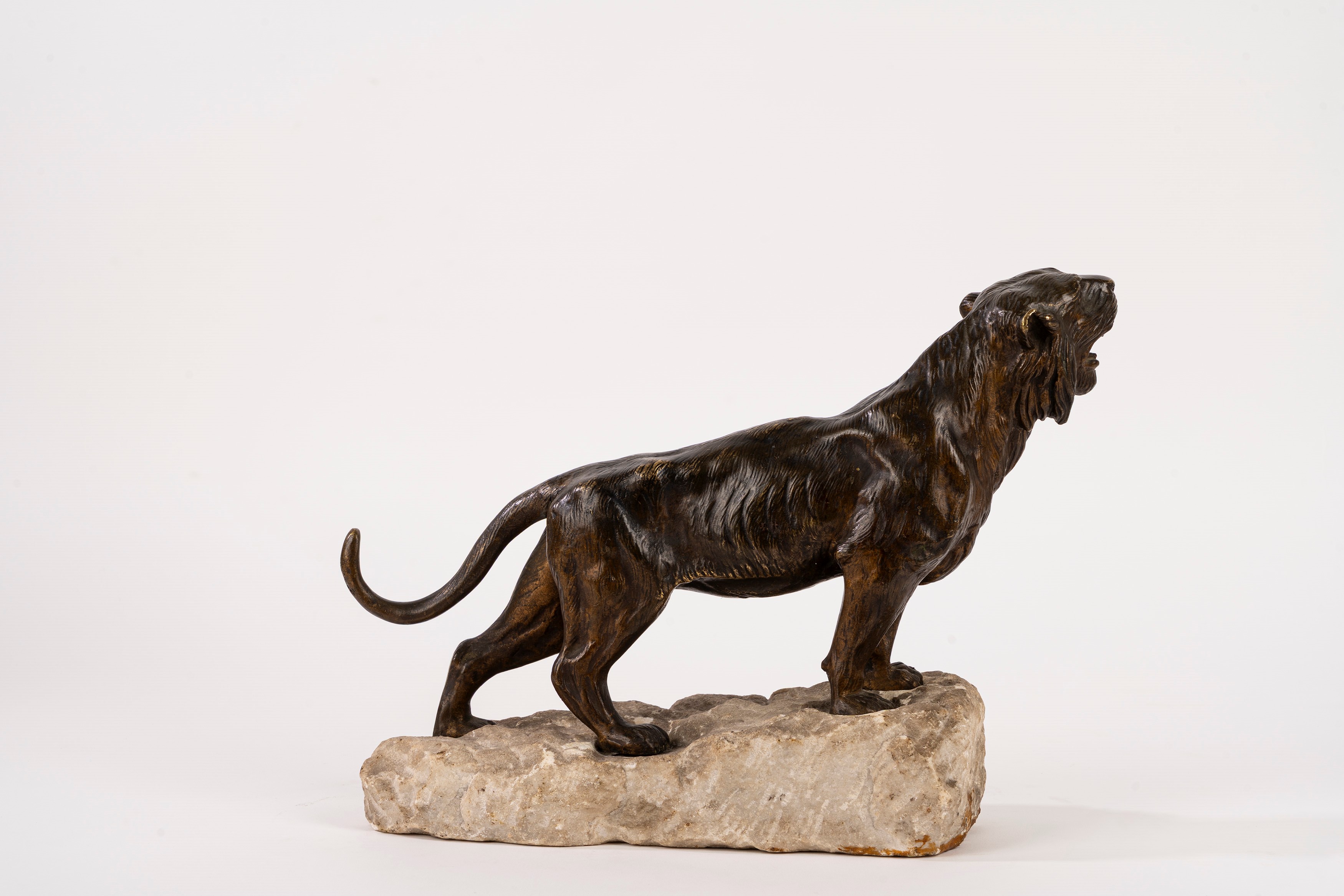 Scuola Francese, Inizi Secolo XX - Tigre, scultura in bronzo su base in pietra, firma “J. Hesteau...