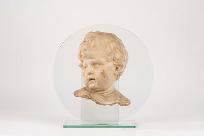 Testa di putto, gesso su supporto in vetro