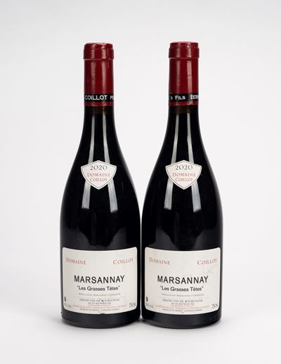 Marsannay, Les Grasses Têtes, Domaine Coillot (2 bottiglie, 2020)