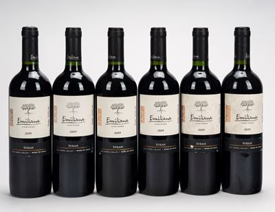 Emiliana Vineyards, D. O. Rapel Valley (6 BT) — 2009
