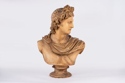 Busto di Apollo, terracotta