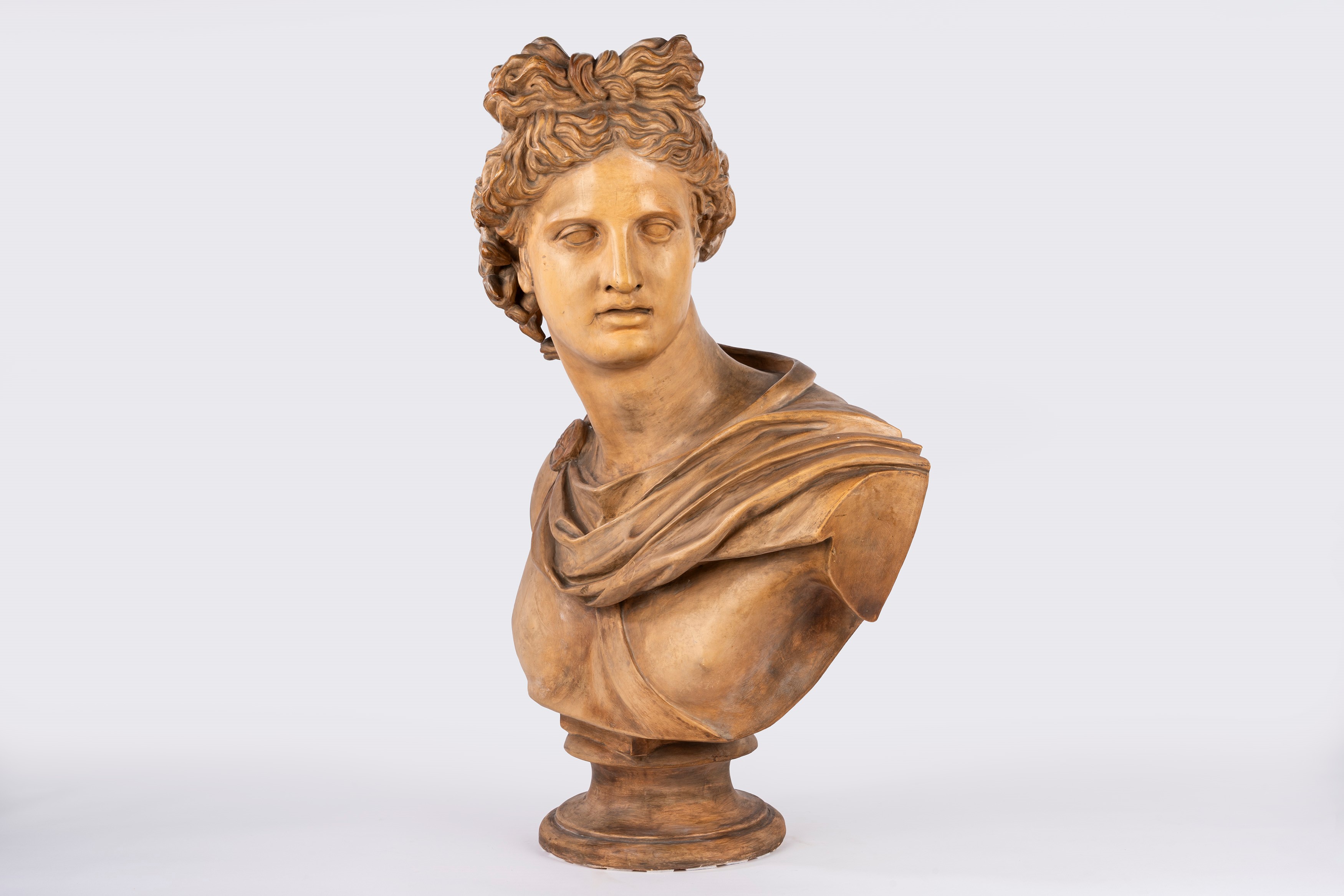 Busto di Apollo, terracotta