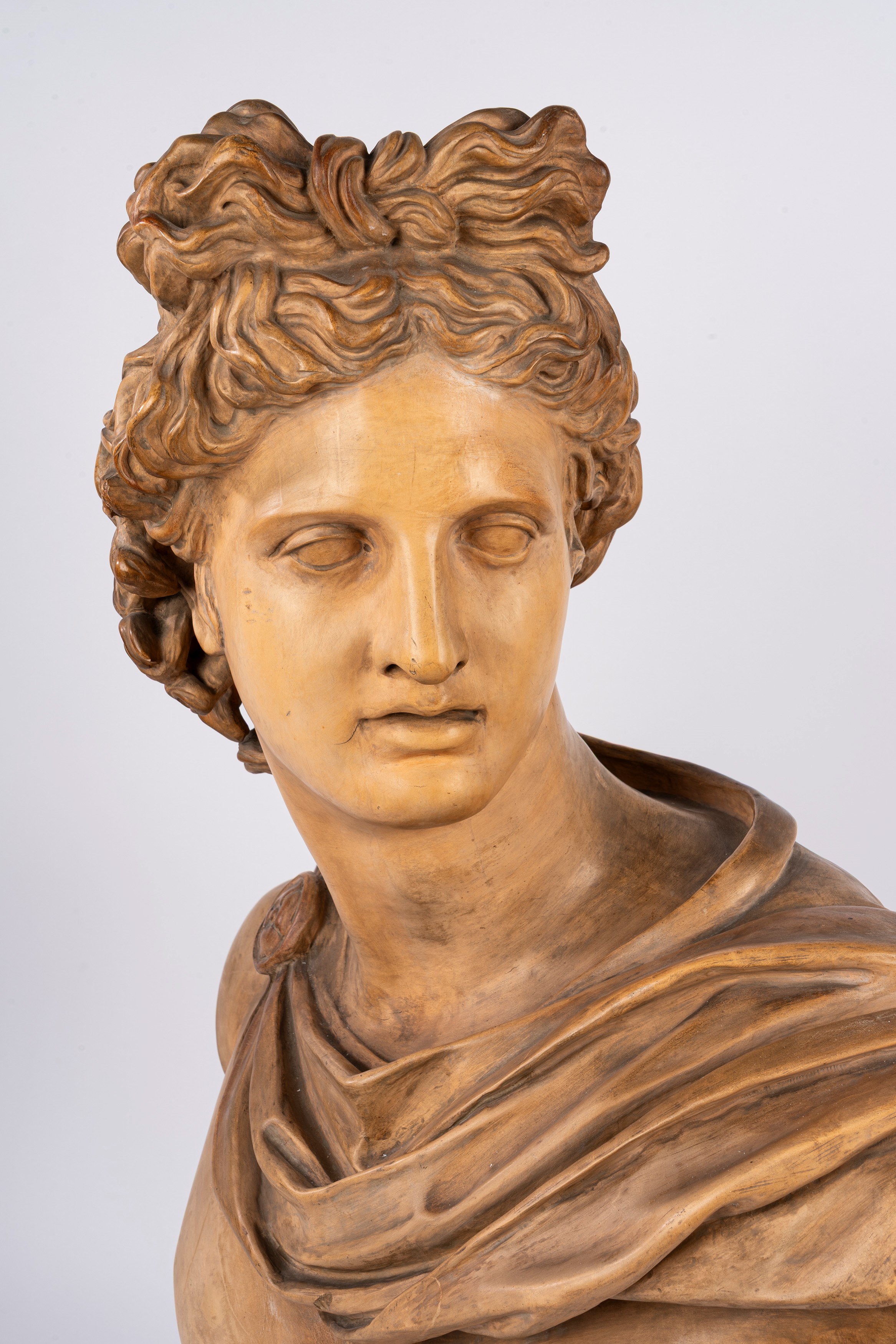 Busto di Apollo, terracotta