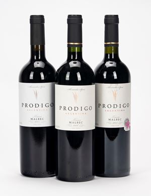 Verticale El Hijo Prodigo Malbec Reserva (3 BT)