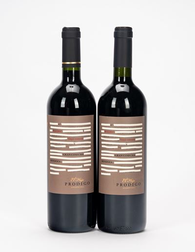 El Hijo Prodigo Malbec Reserva, confezione da 2 bottiglie
