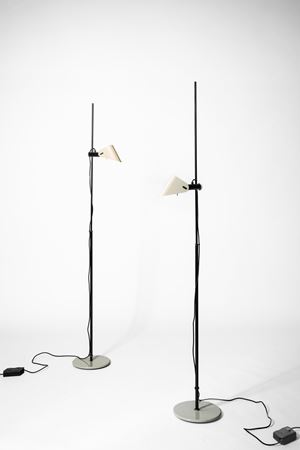 Pair of adjustable floor lamps