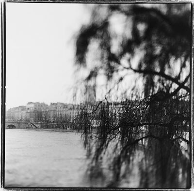 Oldest Tree in Paris, 1999 - Stampa vintage alla gelatina ai sali d'argento