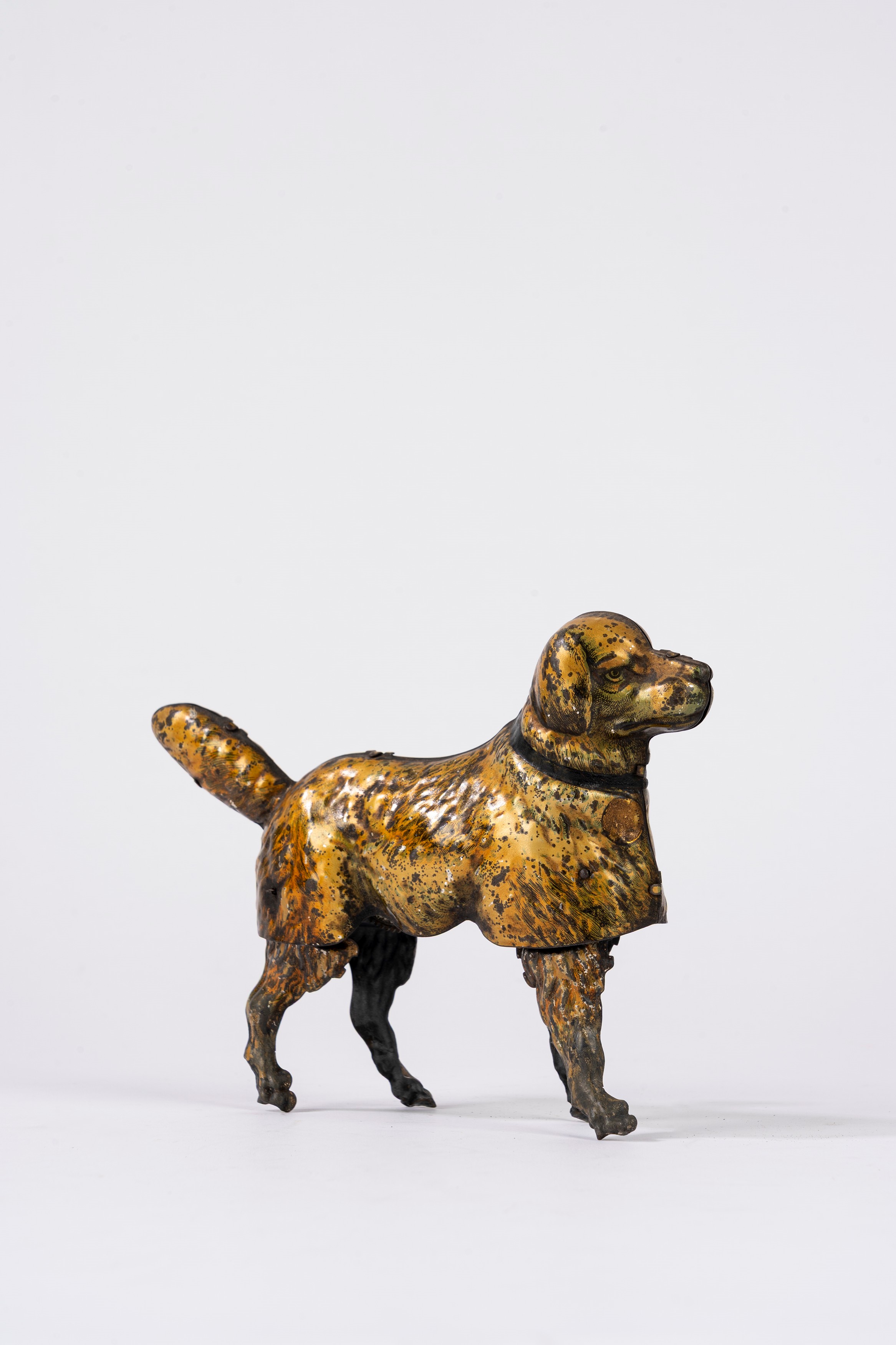 Lehmann - Tyras The Walking Dog