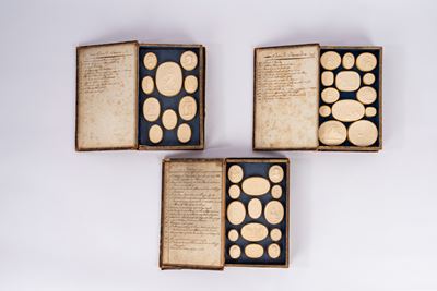 Collezione di 84 calchi di cammei in gesso in contenitori a forma di libro
