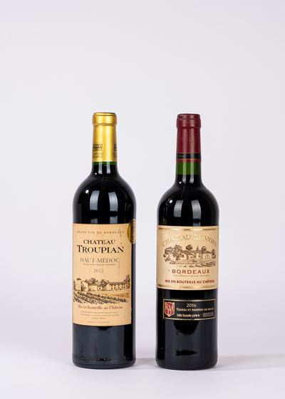 Selezione Chateau, 2 bottiglie (1 BT Chateau Troupian, 2012; 1 BT Chateau de Mons, 2016)