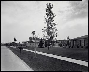 Parrot Street, Troy, Michigan