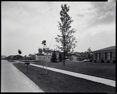 Parrot Street, Troy, Michigan (stampa a contatto vintage)