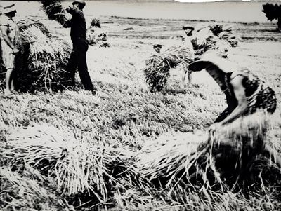 Storie di terra, stampa alla gelatina ai sali d'argento