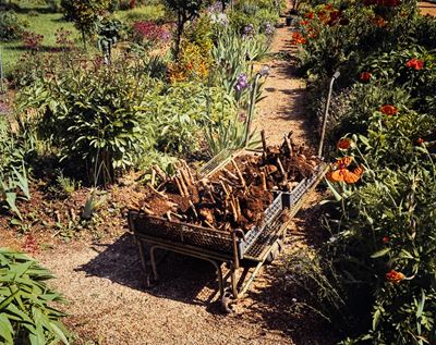 Giverny #17