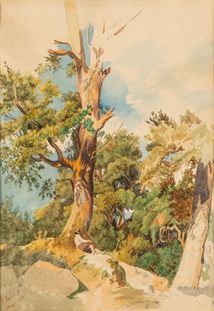 Riposo sotto l'albero
