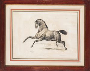 Gruppo di dodici litografie in cornici da l'"amateur de chevaux", secolo XIX.