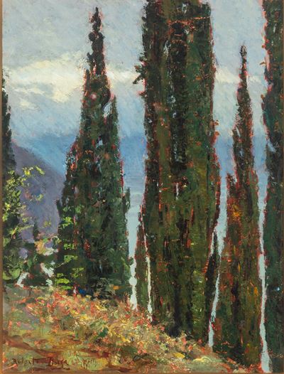 Cipressi sul lago