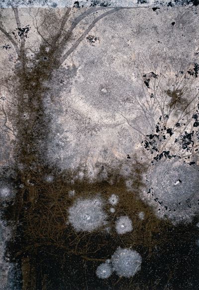 Trauma #9178 (edizione 3/10), stampa giclée su carta cotone