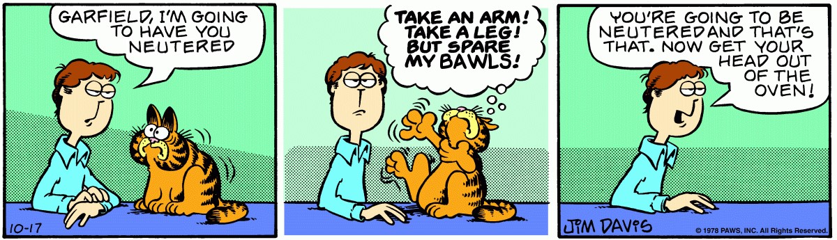 Jim Davis - Garfield, striscia giornaliera (17/10/1978)