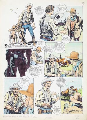 Western Story