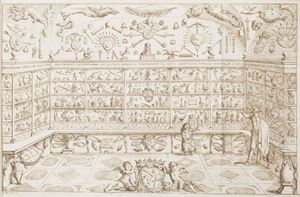 Museo Cospiano annesso a quello del famoso Ulisse Aldovrandi