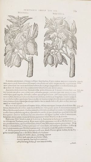 Dodoens, Rembert - Stirpium Historiae Pemptades sex. Sive libri XXX
