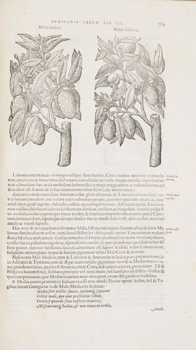 Dodoens, Stirpium Historiae Pemptades sex. Sive libri XXX, 1583, prima edizione