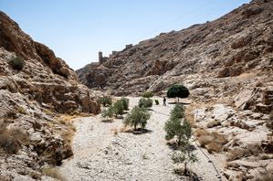 Olive grove at the Deir Mar Musa Monastery. Since the 1980s, the community has been committed to preserving and protecting the biodiversity of the area. Deir Mar Musa al-Habashi Monastery. Syria