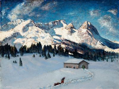 Paesaggio innevato