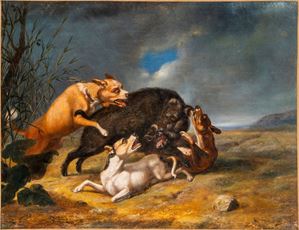 Caccia al cinghiale presso la campagna romana