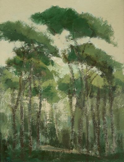 Pineta romana, olio su tela