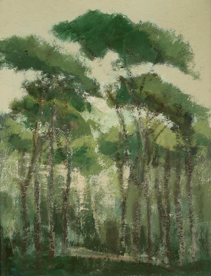Ernesto Buglioni - Pineta romana, olio su tela