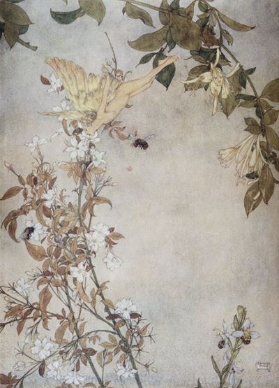 La Tempesta. Traduzione di Diego Angeli con illustrazioni